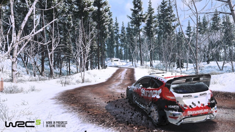 WRC 5 - Solberg Sweden 02