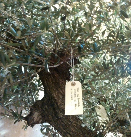 YOKO ONO - wish tree