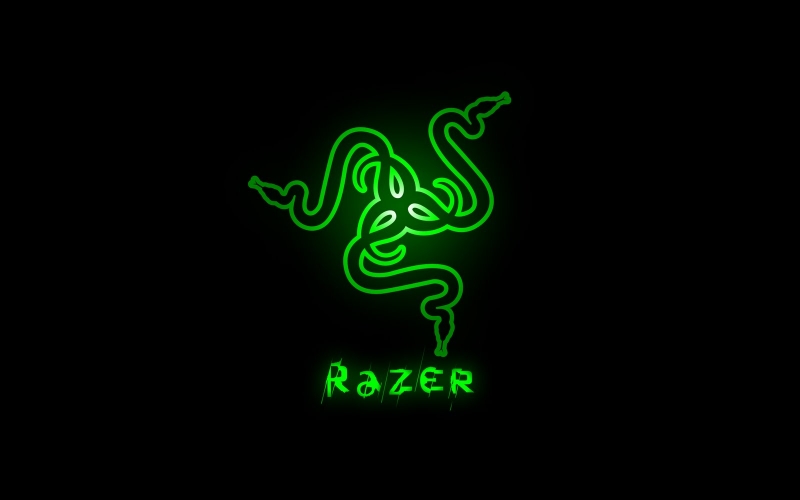 [News EreNum][08-20-15]Une webcam chez Razer
