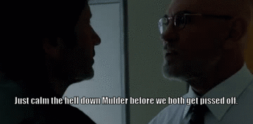 x-files revival, Mulder & Skinner