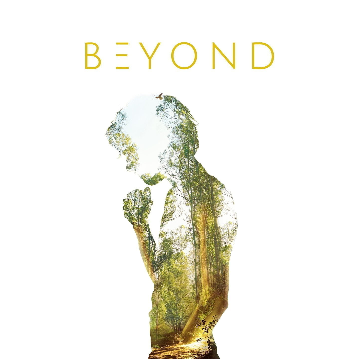Beyond, le nouvel album de Naâman