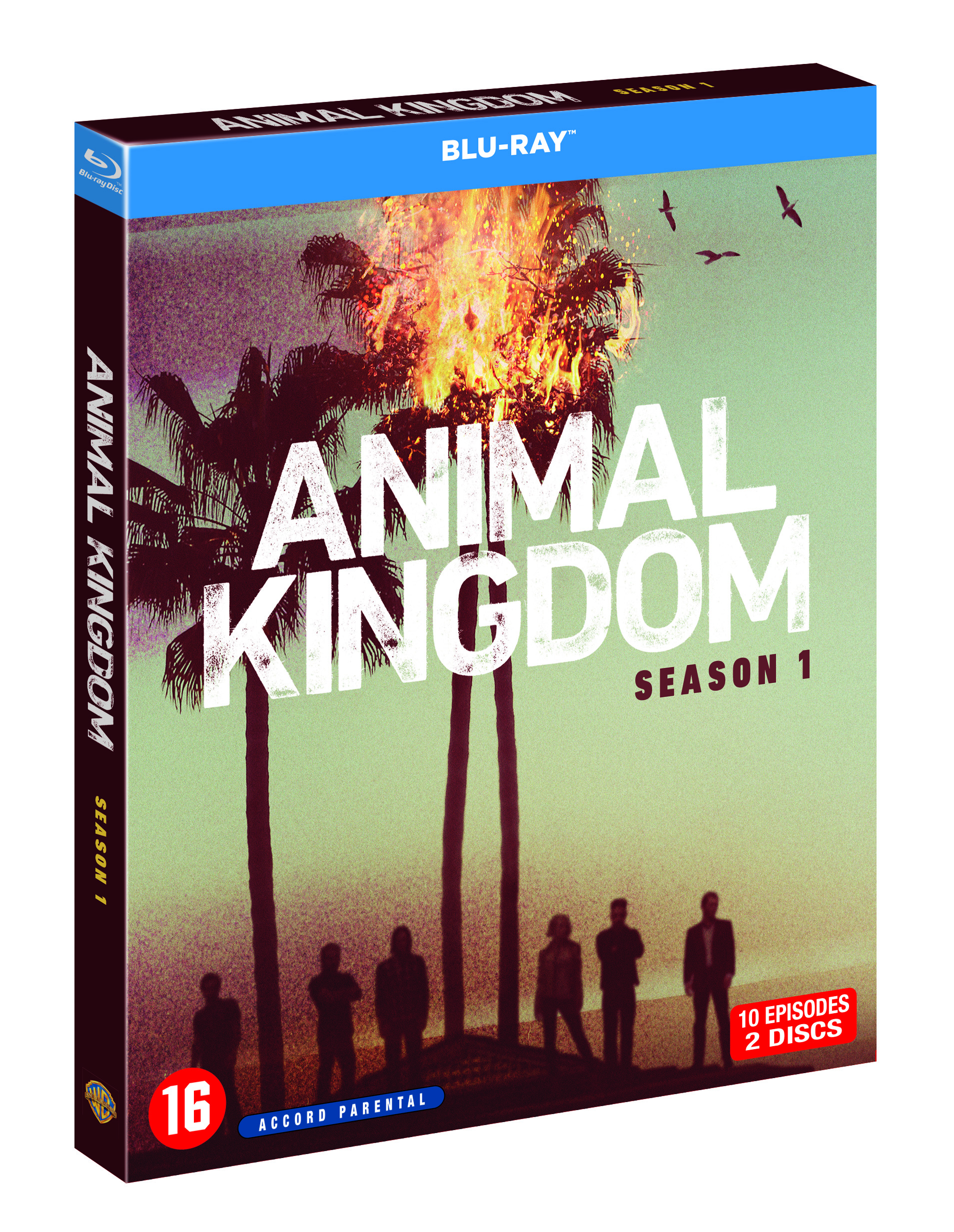 5051888227503 ANIMAL KINGDOM S1 BD Warner Bros annonce la sortie en DVD de séries/films cultes
