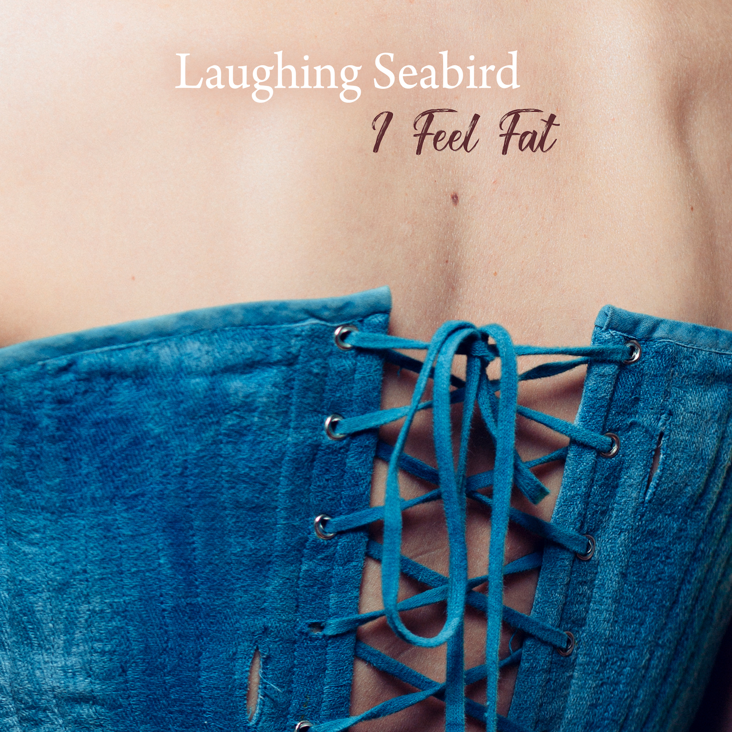 Laughing Seabird - "I Feel Fat" (Music Video)