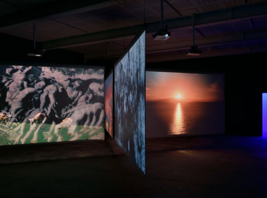 vue de l'exposition "Après", à la Galerie Marian Goodman (2021)
