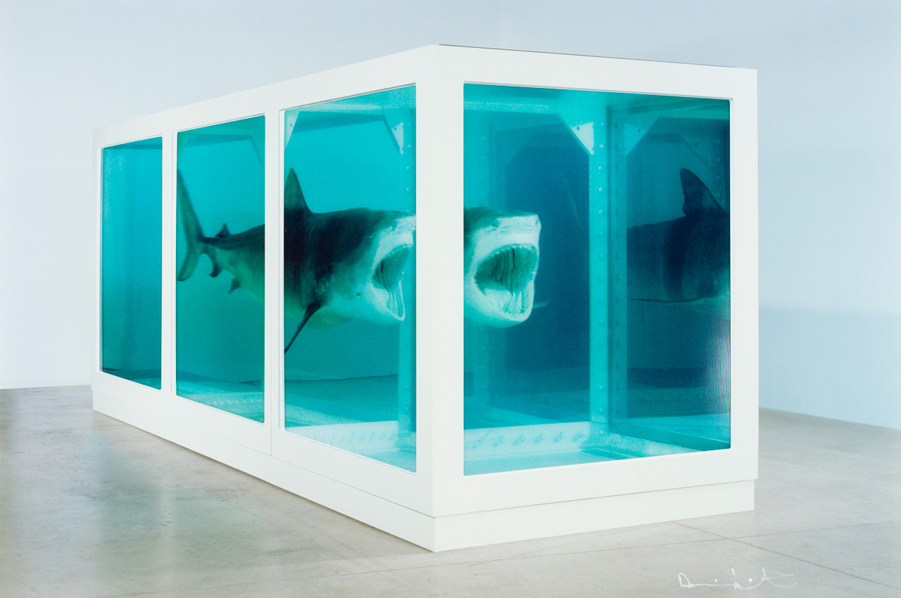 Damien Hirst, « The Physical Impossibility of Death in the Mind of Someone Living », sculpture - installation, 1991.
