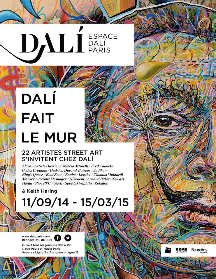 dali fait le mur 0 Dalí fait le mur, une expo à ne pas rater !