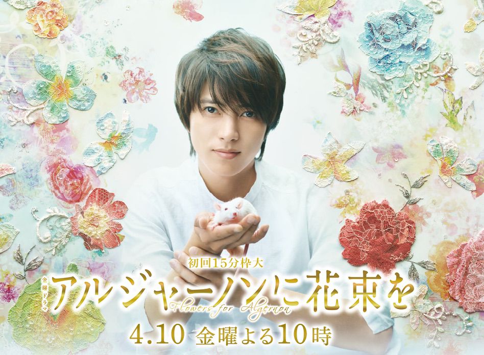 Flowers for Algernon Japanese Drama p1 [J-Drama] Algernon ni Hanabata wo : Yamapi enfin de retour dans un drama !