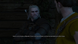 The Witcher 3 - 02