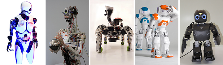 Japan Expo 2015 Robots