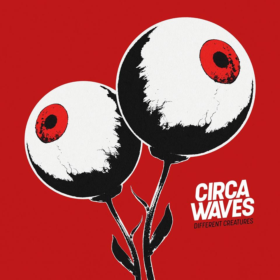 15193480 1174903325897686 6831955901152503618 n Fire That Burns : le nouveau single de Circa Waves !