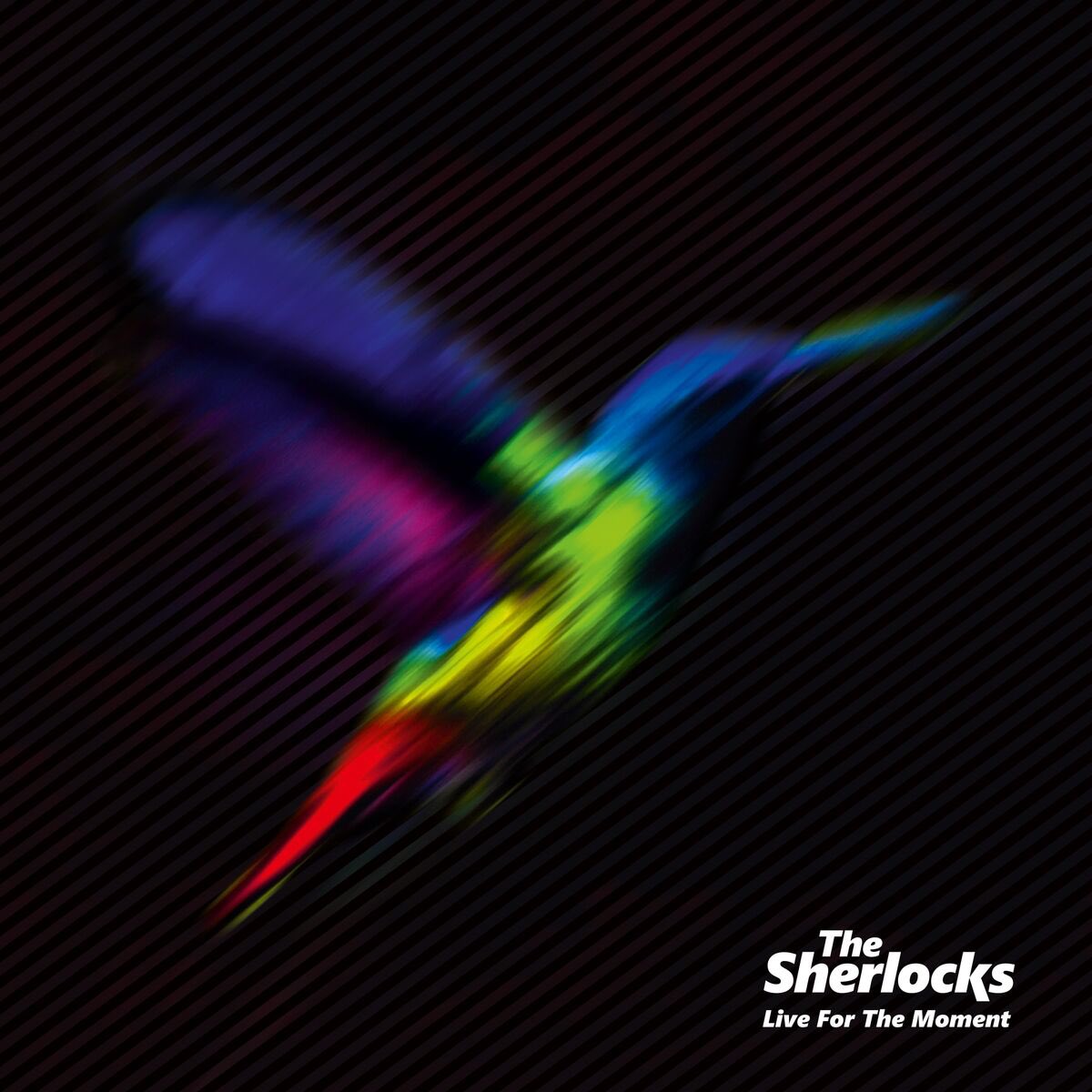 C QN8wsXcAA CFi The Sherlocks annonce la sortie de leur premier album !